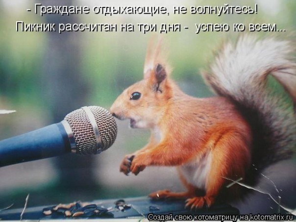 "Мыздобулы" в картинках. Смешных и не очень... Воскресный выпуск от 04.06.2017