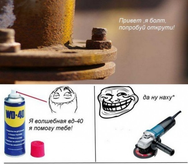 "Мыздобулы" в картинках. Смешных и не очень... Воскресный выпуск от 04.06.2017