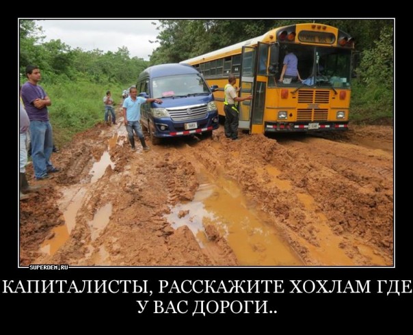 "Мыздобулы" в картинках. Смешных и не очень... Воскресный выпуск от 04.06.2017