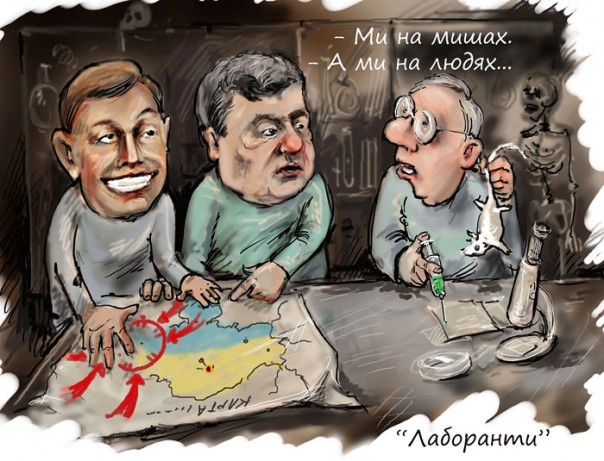 "Мыздобулы" в картинках. Смешных и не очень... Воскресный выпуск от 04.06.2017