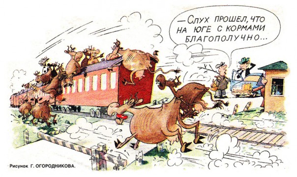 "Мыздобулы" в картинках. Смешных и не очень... Воскресный выпуск от 04.06.2017