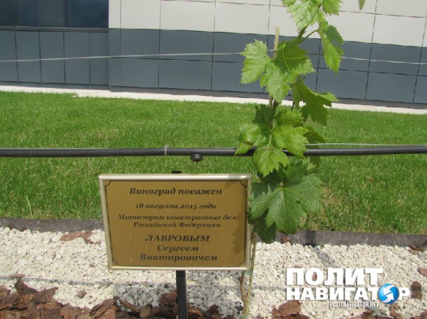 Путин выбрал в Крыму самое дешевое вино Путин выбрал в Крыму самое дешевое вино