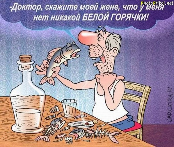 "Мыздобулы" в картинках. Смешных и не очень... 06.06.2017