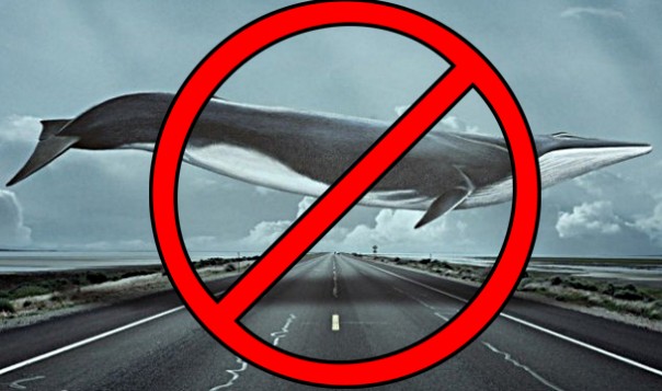 «Синий Кит» теперь под контролем Уголовного кодекса