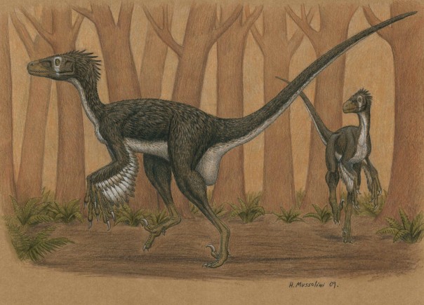 Интересные факты о динозаврах Интересные факты о динозаврах