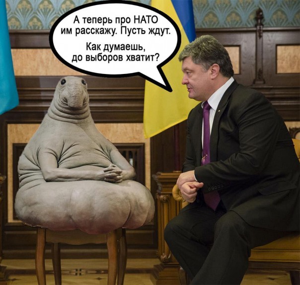 Как стать Европой и европейцем. Юлия Витязева Как стать Европой и европейцем. Юлия Витязева