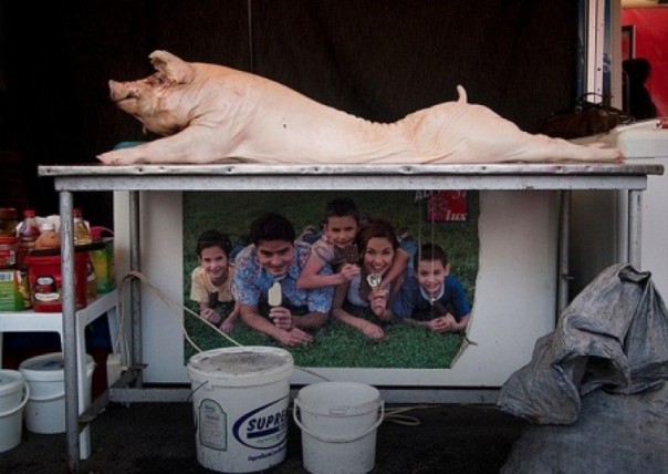 Немецкое ТВ про безвизовых украинцев в Польше: станет только больше мусора и паленой водки Немецкое ТВ про безвизовых украинцев в Польше: станет только больше мусора и паленой водки