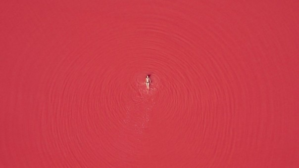 Великолепные фотографии из серии "Фото дня"