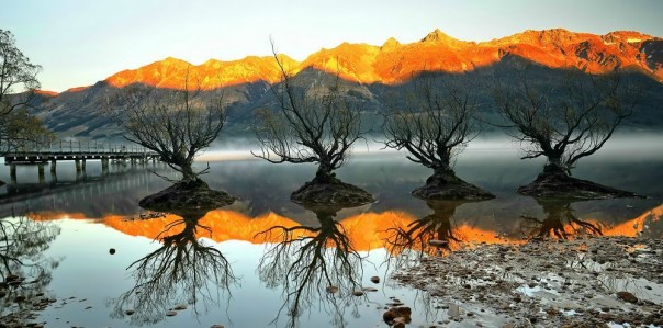 Великолепные фотографии из серии "Фото дня"