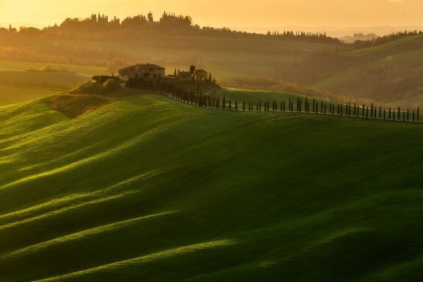 Великолепные фотографии из серии "Фото дня"