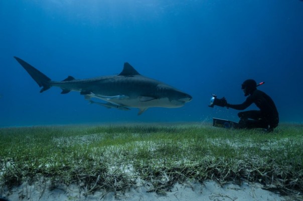 Великолепные фотографии из серии "Фото дня"