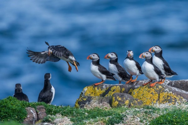 Великолепные фотографии из серии "Фото дня"