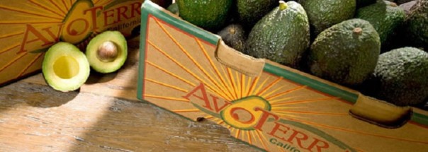 Абсурдные новости. 17 июня 2017 года Абсурдные новости. 17 июня 2017 года