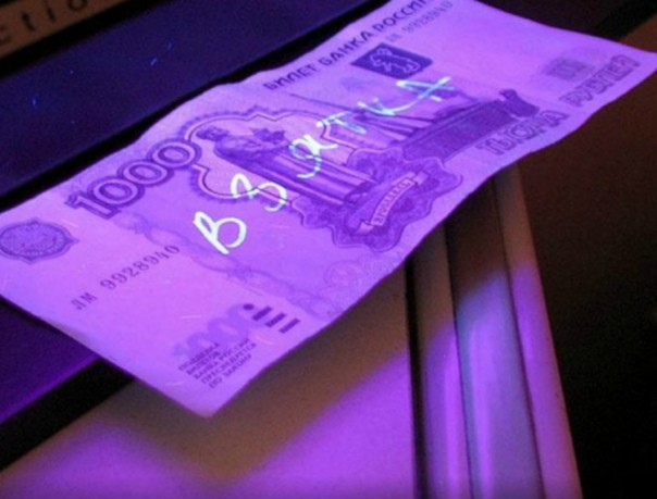 Ужесточение наказания: Правительство РФ планирует внести поправки в  уголовный кодекс