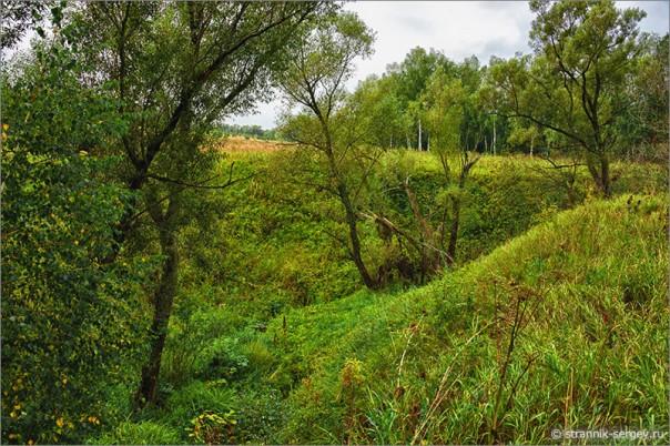 восьменская битва в истории тульской области. 1498621794 e news.su 2012 08 18 30. восьменская битва в истории тульской области фото. восьменская битва в истории тульской области-1498621794 e news.su 2012 08 18 30. картинка восьменская битва в истории тульской области. картинка 1498621794 e news.su 2012 08 18 30. Царь Василий Шуйский получил в Серпухове донесение о том, что крестьянско-казацкое войско, двигавшееся по серпуховской дороге, повернуло на Каширу. На основании донесения царь «послал тотчас» в Каширу на усиление полка Голицына «ис Серпухова голов с сотнями». К этому времени к каширскому полку присоединились и рязанцы во главе с князем Лыковым. Боярское войско выступило из Каширы навстречу Болотникову, форсировало Оку по «Сенькиным бродам» и остановилось на р. Беспуте (в 15 км от Каширы), заняв позицию у устья р. Восьмы, впадающей в р. Беспуту. Главные силы (боярские полки и сотни стрелецкие) расположились на правом берегу Восьмы, рязанцы же находились на ее левом берегу, составляя резерв. восьменская битва в истории тульской области. 1498621794 e news.su 2012 08 18 30. восьменская битва в истории тульской области фото. восьменская битва в истории тульской области-1498621794 e news.su 2012 08 18 30. картинка восьменская битва в истории тульской области. картинка 1498621794 e news.su 2012 08 18 30. Царь Василий Шуйский получил в Серпухове донесение о том, что крестьянско-казацкое войско, двигавшееся по серпуховской дороге, повернуло на Каширу. На основании донесения царь «послал тотчас» в Каширу на усиление полка Голицына «ис Серпухова голов с сотнями». К этому времени к каширскому полку присоединились и рязанцы во главе с князем Лыковым. Боярское войско выступило из Каширы навстречу Болотникову, форсировало Оку по «Сенькиным бродам» и остановилось на р. Беспуте (в 15 км от Каширы), заняв позицию у устья р. Восьмы, впадающей в р. Беспуту. Главные силы (боярские полки и сотни стрелецкие) расположились на правом берегу Восьмы, рязанцы же находились на ее левом берегу, составляя резерв.