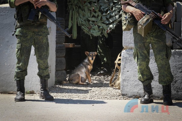 Сводка от НМ ЛНР 30 июня 2017. Укрофашисты за неделю выпустили по территории ЛНР почти 1100 боеприпасов