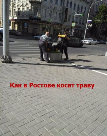 "Мыздобулы" в картинках. Смешных и не очень... 02.06.2017