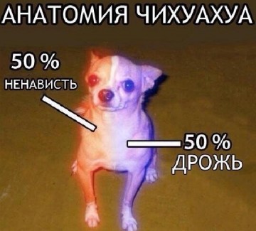 "Мыздобулы" в картинках. Смешных и не очень... Воскресный выпуск от 04.06.2017