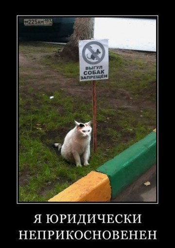 "Мыздобулы" в картинках. Смешных и не очень... Воскресный выпуск от 04.06.2017