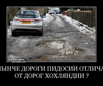 "Мыздобулы" в картинках. Смешных и не очень... Воскресный выпуск от 04.06.2017