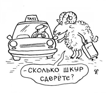 "Мыздобулы" в картинках. Смешных и не очень... Воскресный выпуск от 04.06.2017