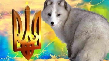 Когда стране твоей песец, из сала сделай тризубец