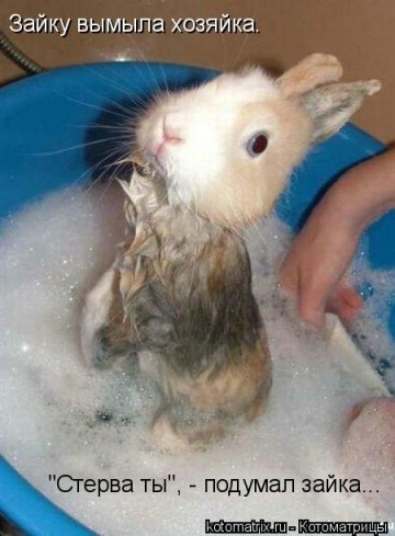 "Мыздобулы" в картинках. Смешных и не очень... 06.06.2017