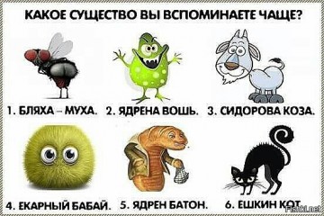 "Мыздобулы" в картинках. Смешных и не очень... 06.06.2017