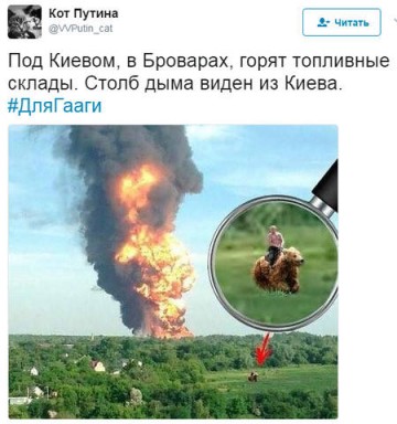 "Мыздобулы" в картинках. Смешных и не очень... 06.06.2017