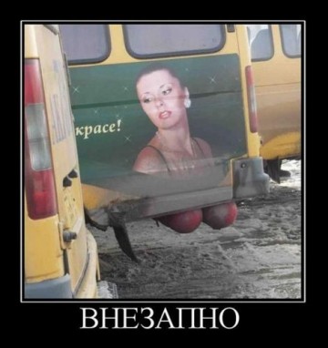 "Мыздобулы" в картинках. Смешных и не очень... 06.06.2017