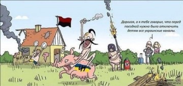 "Мыздобулы" в картинках. Смешных и не очень... 06.06.2017