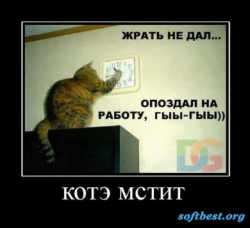 "Мыздобулы" в картинках. Смешных и не очень... 06.06.2017