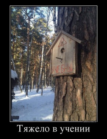 "Мыздобулы" в картинках. Смешных и не очень... 06.06.2017