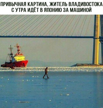 "Мыздобулы" в картинках. Смешных и не очень... 06.06.2017