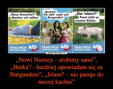 "Мыздобулы" в картинках. Смешных и не очень...12.06.2017