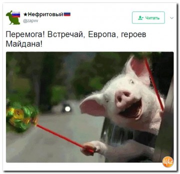 "Мыздобулы" в картинках. Смешных и не очень...12.06.2017