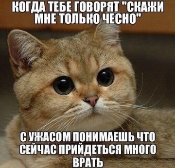 "Мыздобулы" в картинках. Смешных и не очень...15.07.2017