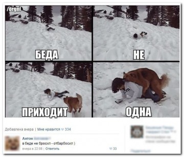 "Мыздобулы" в картинках. Смешных и не очень...24.06.2017