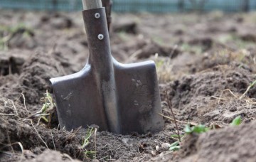 Земельная реформа: Украину продадут по дешёвке