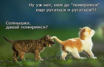 "Мыздобулы" в картинках. Смешных и не очень...28.06.2017