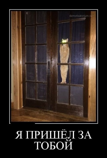 "Мыздобулы" в картинках. Смешных и не очень...28.06.2017