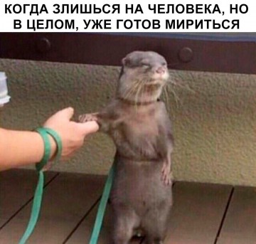 "Мыздобулы" в картинках. Смешных и не очень...28.06.2017