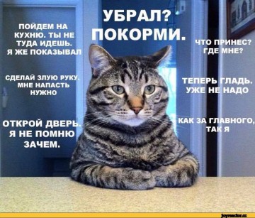 "Мыздобулы" в картинках. Смешных и не очень...28.06.2017