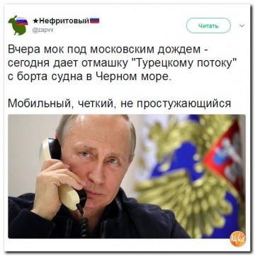 "Мыздобулы" в картинках. Смешных и не очень...28.06.2017