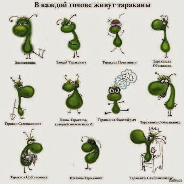 "Мыздобулы" в картинках. Смешных и не очень...30.06.2017