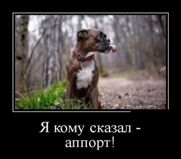 "Мыздобулы" в картинках. Смешных и не очень...30.06.2017