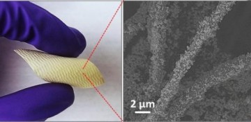 Новая подборка новостей мира науки и техники 30-06-2017