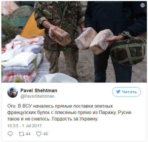 Страна безумства, безысходности и влажных фантазий