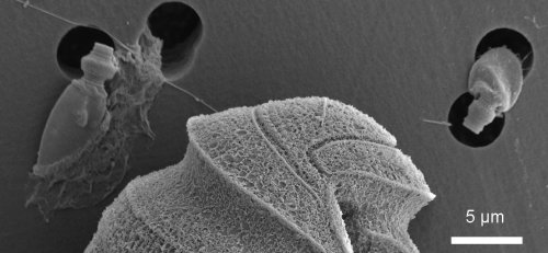 Новая подборка новостей мира науки и техники 04-07-2017