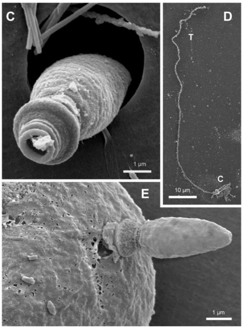 Новая подборка новостей мира науки и техники 04-07-2017
